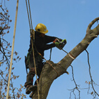 emergency in commerce