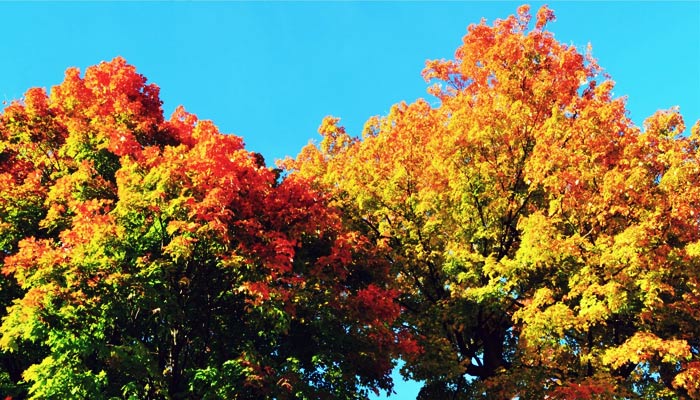 mission-carousel-image